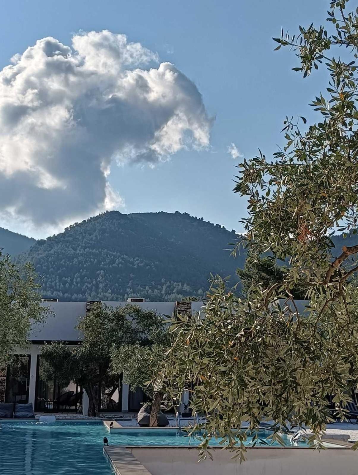 Готель The Olive Hills Skala Rachoni  Екстер'єр фото